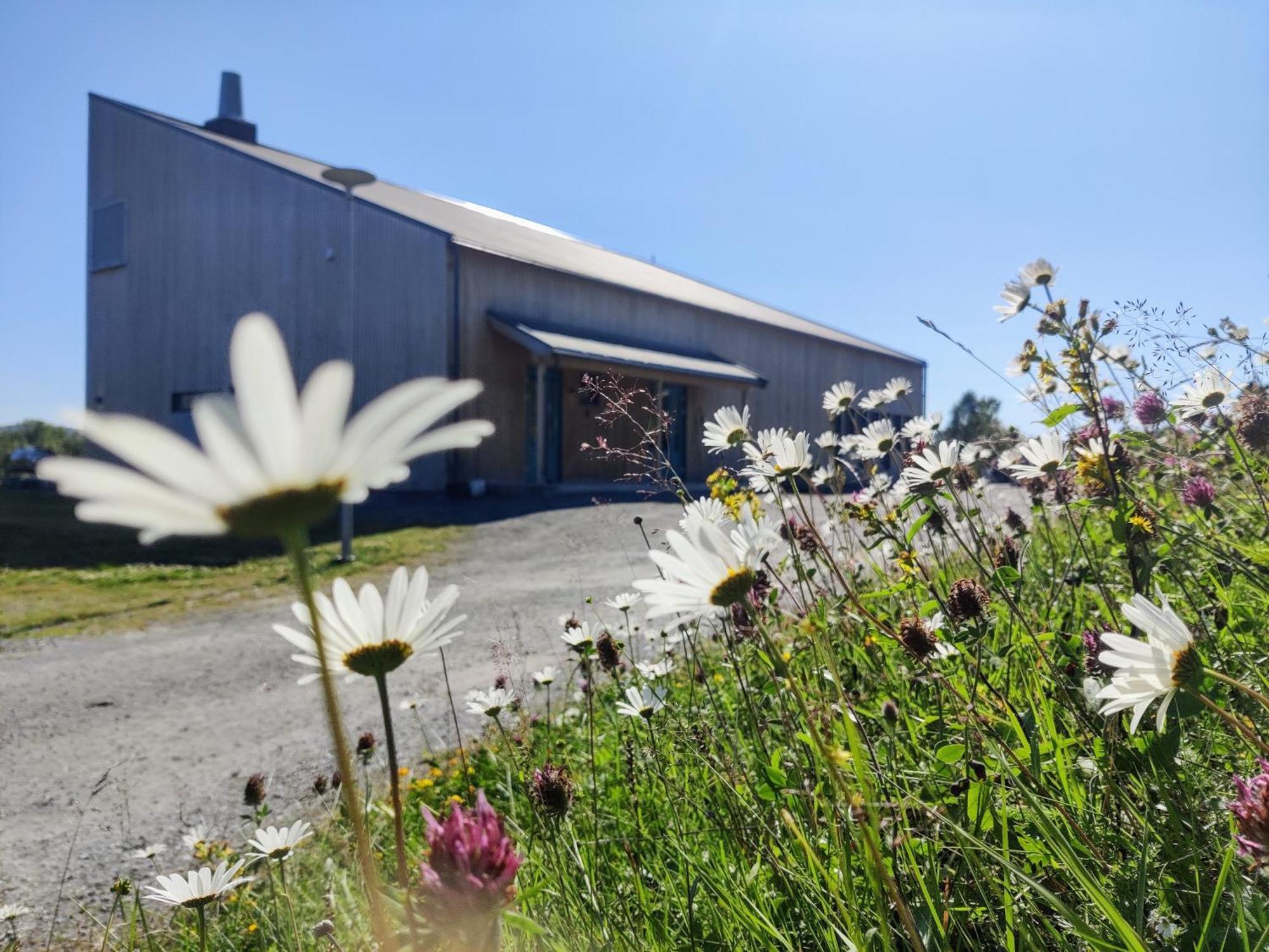 Hostel Skoghus Silsand Zewnętrze zdjęcie